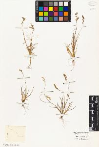 SW_BNB_s3010-02924_IMG-0000000001