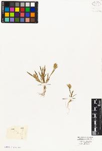 SW_BNB_s3010-02925_IMG-0000000001