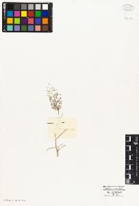 SW_BNB_s3010-02928_IMG-0000000001