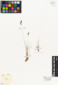 SW_BNB_s3010-02931_IMG-0000000001