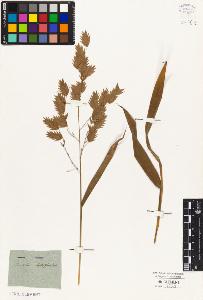 SW_BNB_s3010-02935_IMG-0000000001