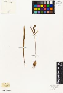 SW_BNB_s3010-02938_IMG-0000000001