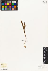SW_BNB_s3010-02941_IMG-0000000001