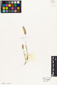 SW_BNB_s3010-02942_IMG-0000000001