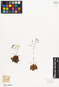 SW_BNB_s3010-02943_IMG-0000000001