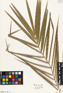 SW_BNB_s3010-02944_IMG-0000000001