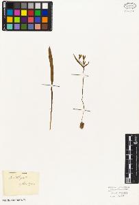 SW_BNB_s3010-02945_IMG-0000000001