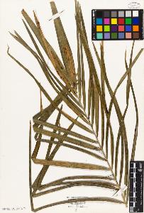 SW_BNB_s3010-02946_IMG-0000000001