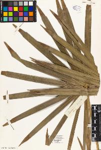 SW_BNB_s3010-02947_IMG-0000000001
