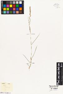 SW_BNB_s3010-02948_IMG-0000000001