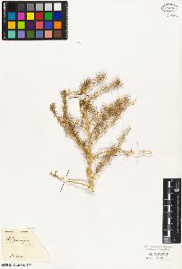 SW_BNB_s3010-02952_IMG-0000000001