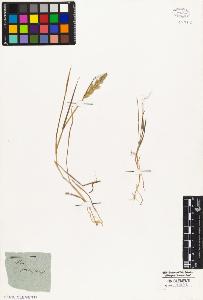 SW_BNB_s3010-02953_IMG-0000000001