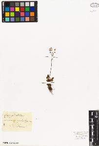 SW_BNB_s3010-02954_IMG-0000000001