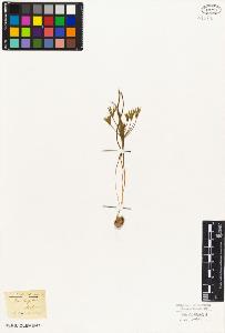 SW_BNB_s3010-02958_IMG-0000000001