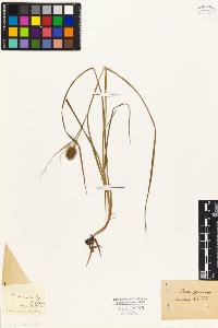 SW_BNB_s3010-02959_IMG-0000000001