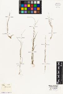 SW_BNB_s3010-02961_IMG-0000000001