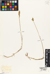 SW_BNB_s3010-02966_IMG-0000000001
