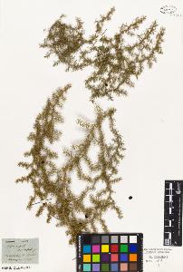 SW_BNB_s3010-02967_IMG-0000000001