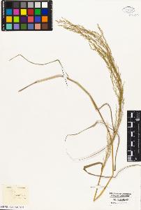 SW_BNB_s3010-02968_IMG-0000000001