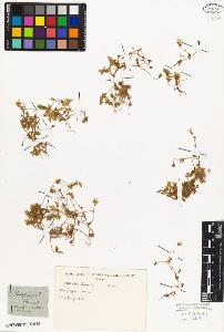 SW_BNB_s3010-02969_IMG-0000000001