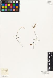 SW_BNB_s3010-02971_IMG-0000000001