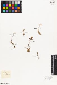 SW_BNB_s3010-02973_IMG-0000000001