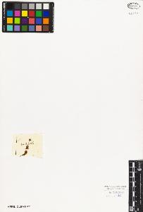 SW_BNB_s3010-02975_IMG-0000000001