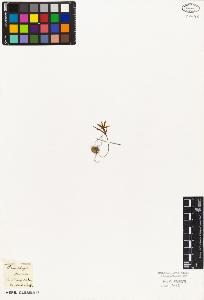 SW_BNB_s3010-02976_IMG-0000000001