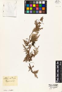 SW_BNB_s3010-02980_IMG-0000000001