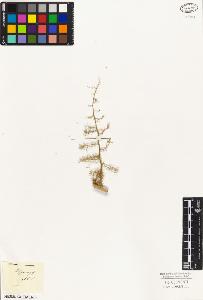 SW_BNB_s3010-02981_IMG-0000000001