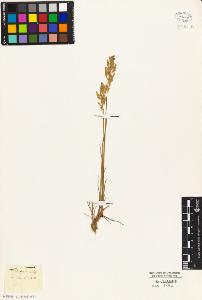 SW_BNB_s3010-02982_IMG-0000000001
