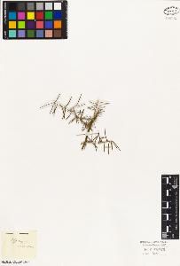 SW_BNB_s3010-02984_IMG-0000000001