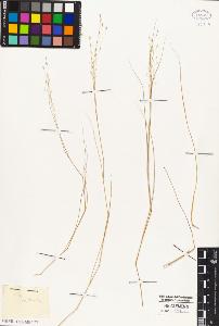 SW_BNB_s3010-02990_IMG-0000000001