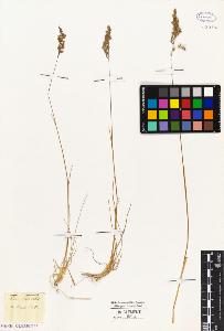 SW_BNB_s3010-02993_IMG-0000000001