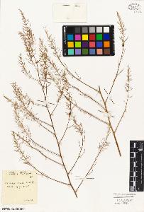 SW_BNB_s3010-02994_IMG-0000000001