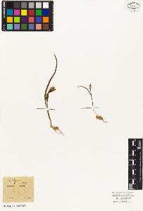 SW_BNB_s3010-02995_IMG-0000000001