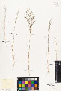 SW_BNB_s3010-02996_IMG-0000000001