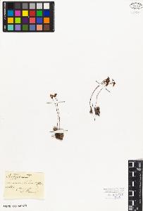 SW_BNB_s3010-03001_IMG-0000000001