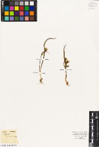 SW_BNB_s3010-03003_IMG-0000000001