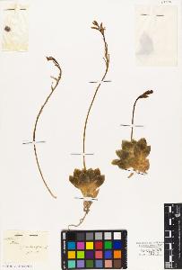 SW_BNB_s3010-03004_IMG-0000000001
