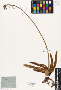 SW_BNB_s3010-03005_IMG-0000000001