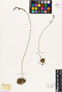 SW_BNB_s3010-03007_IMG-0000000001