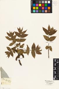 SW_BNB_s3010-03009_IMG-0000000001