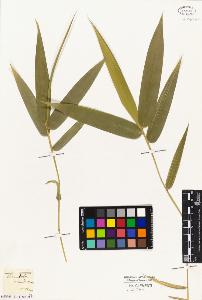 SW_BNB_s3010-03011_IMG-0000000001