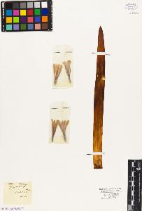 SW_BNB_s3010-03012_IMG-0000000001