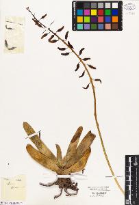 SW_BNB_s3010-03013_IMG-0000000001
