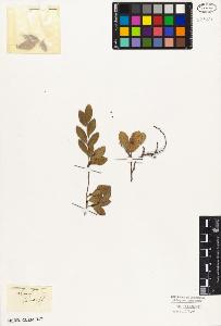 SW_BNB_s3010-03017_IMG-0000000001