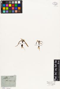 SW_BNB_s3010-03018_IMG-0000000001
