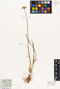 SW_BNB_s3010-03019_IMG-0000000001