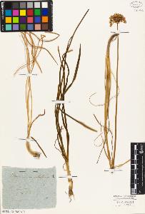 SW_BNB_s3010-03020_IMG-0000000001
